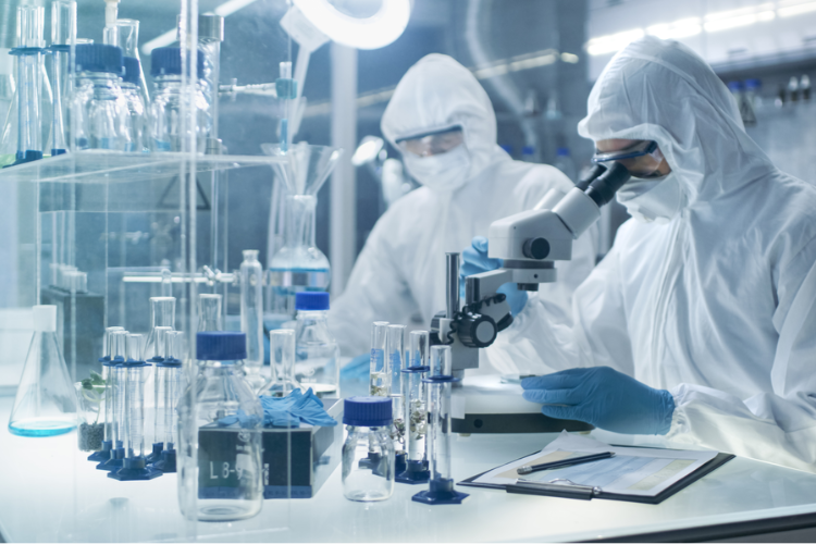 藥品質(zhì)量標(biāo)準(zhǔn)體系！